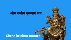 Powerful God krishna mantra in hindi : भगवान श्रीकृष्ण के 8 लोकप्रिय मंत्र 6 shree krishna mantra